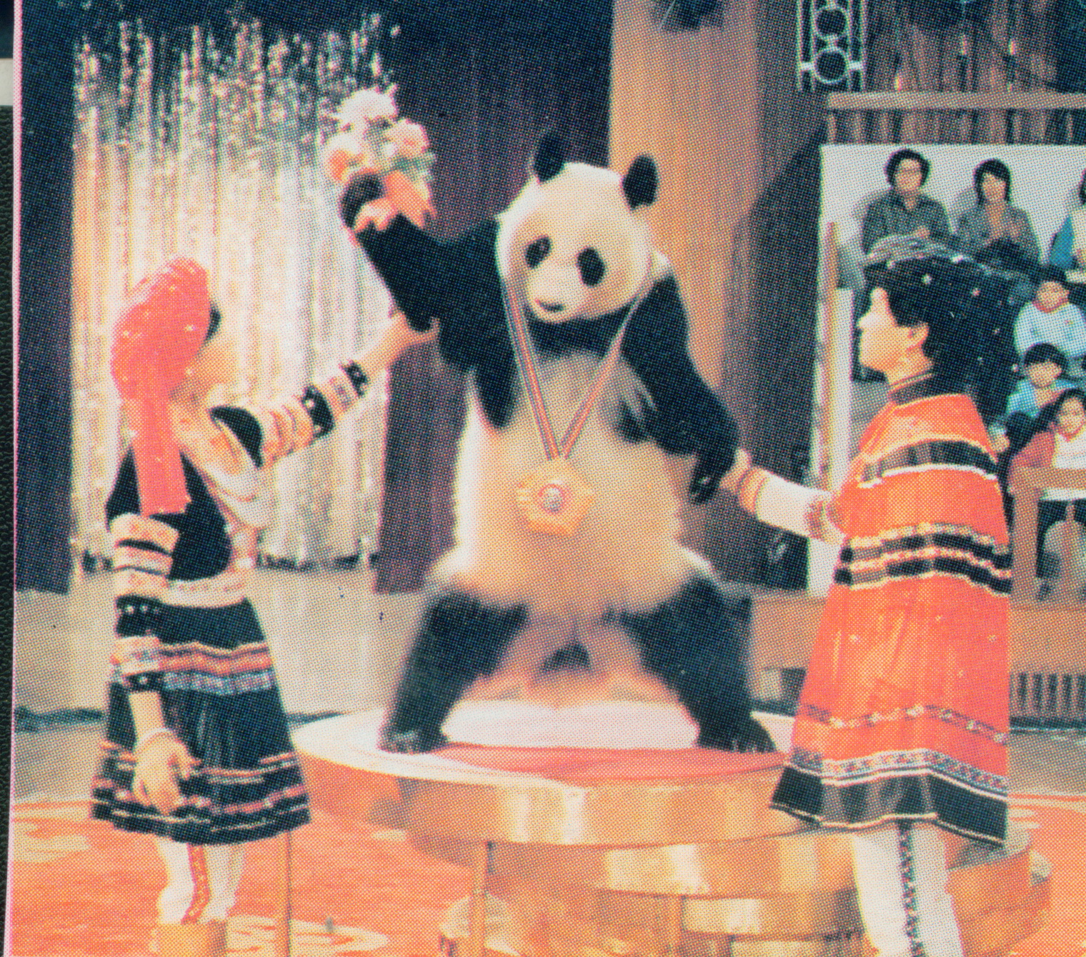 姣姣小姐.jpg