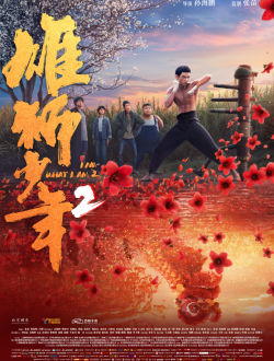 《雄狮少年2》