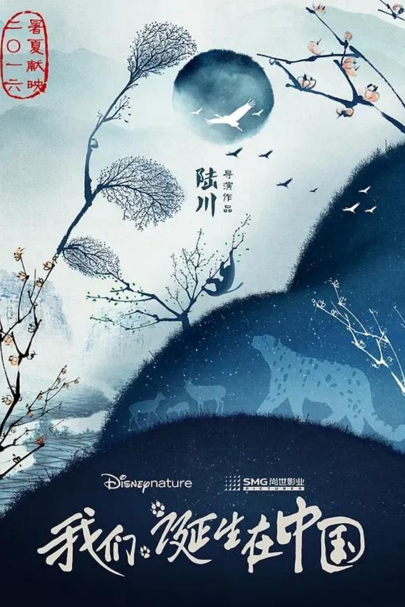 《我们诞生在中国》.jpeg